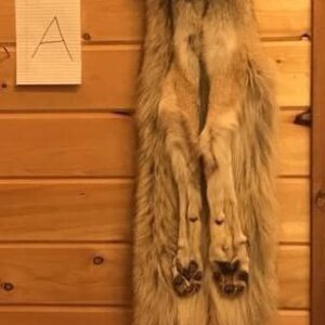 Tom oar wolf pelts Tom oar wolf pelts